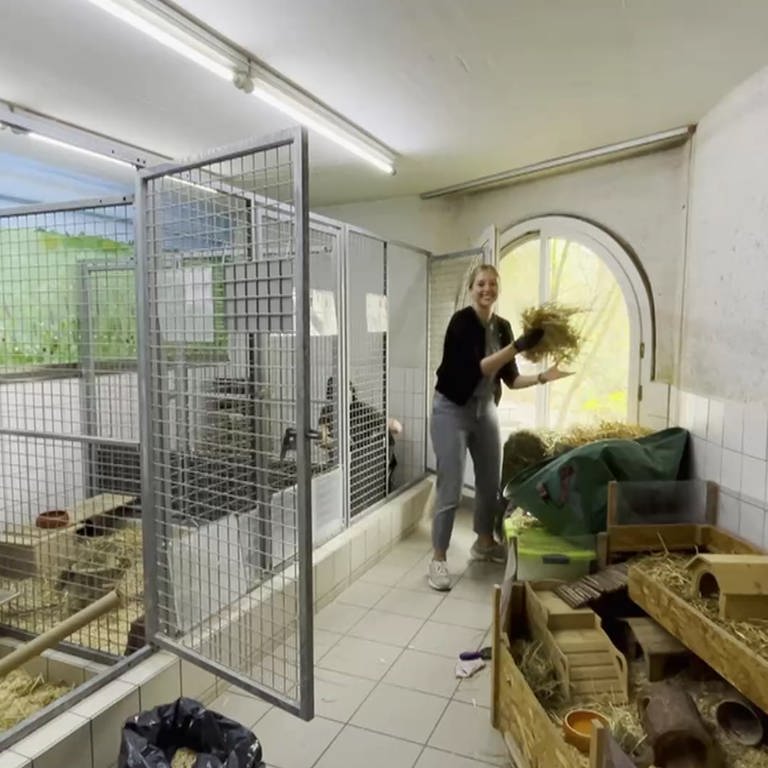 Eine Frau hilft im Tierheim