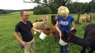 Jürgen Hörig und Tatjana Geßler füttern Lamas und Alpakas (Foto: SWR)