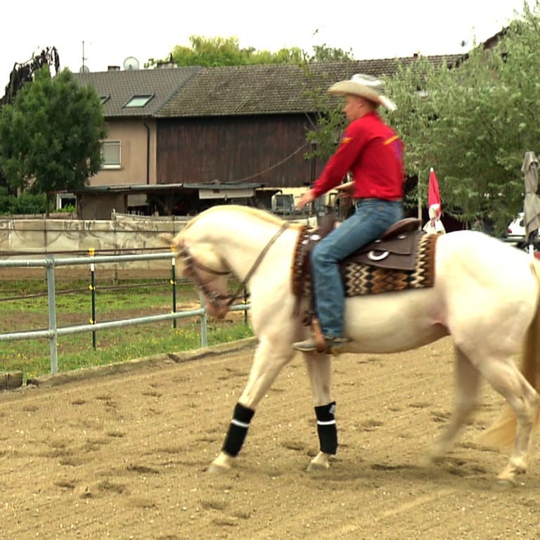 Ein Pferd und sein Cowboy (Foto: SWR)