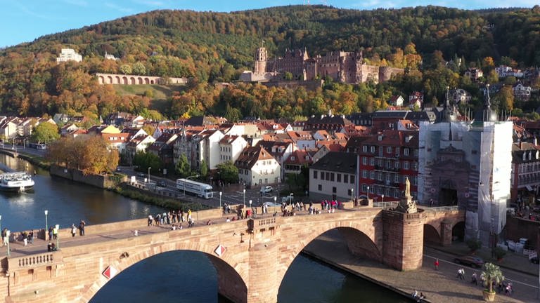 Blick auf Heidelberg (Foto: SWR, SWR -)