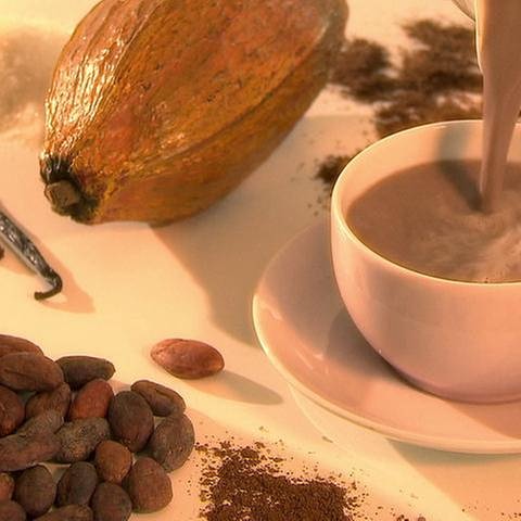 Kakaobohnen, Vanilleschote, Tasse mit Kakao