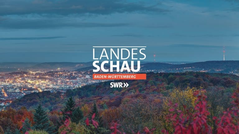 Sendungssignet "Landesschau Baden-Württemberg" (Foto: SWR)