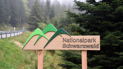 Ein Schild mit der Aufschrift "Nationalpark Schwarzwald" steht vor einem Waldstück (Foto: picture-alliance / Reportdienste, picture alliance / dpa)