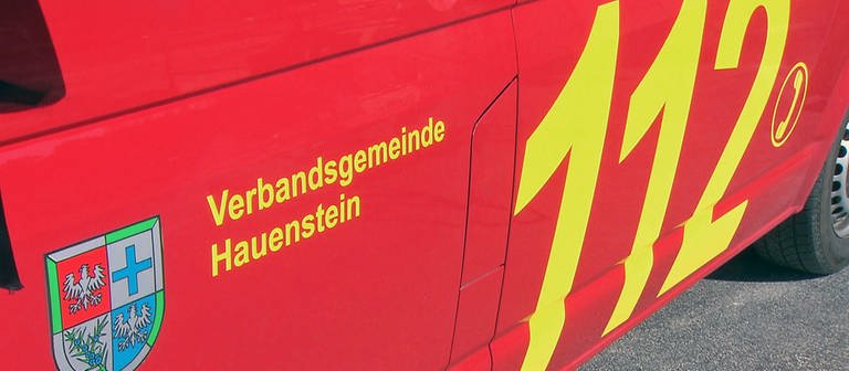 Feuerwehrauto aus Hauenstein (Foto: SWR)