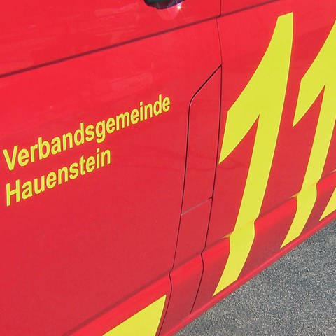 Feuerwehrauto aus Hauenstein (Foto: SWR)