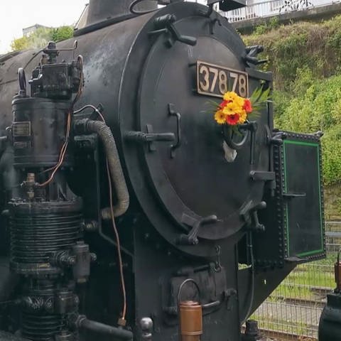 Dampflokomotive (Foto: SWR)