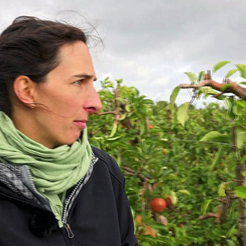 Obstbäuerin Theresa Pfeifer (Foto: SWR)