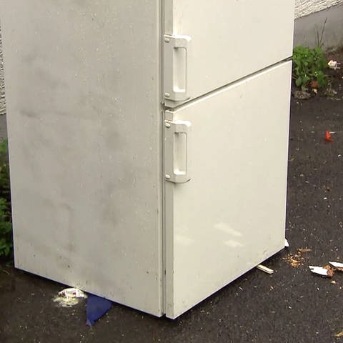 Kühlschrank (Foto: SWR)