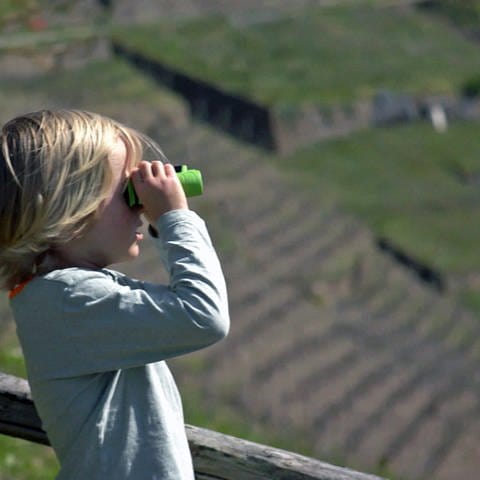 Kind schaut durch Fernglas ins Ahrtal (Foto: SWR)