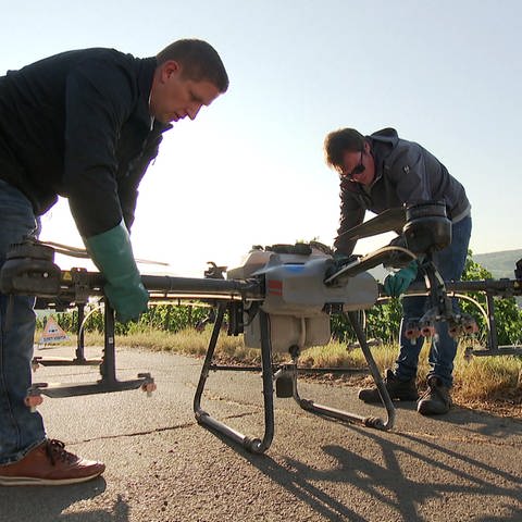 Andreas Schlarb unterstützt mit seiner riesigen Drohne Winzer beim Spritzen der Weinberge – so auch an der Ahr. (Foto: SWR)