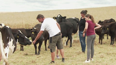 Rinderzüchterin Nura Follmann und ihr Mann legen großen Wert auf das Tierwohl und setzen deshalb auf den Weidenschuss. (Foto: SWR)