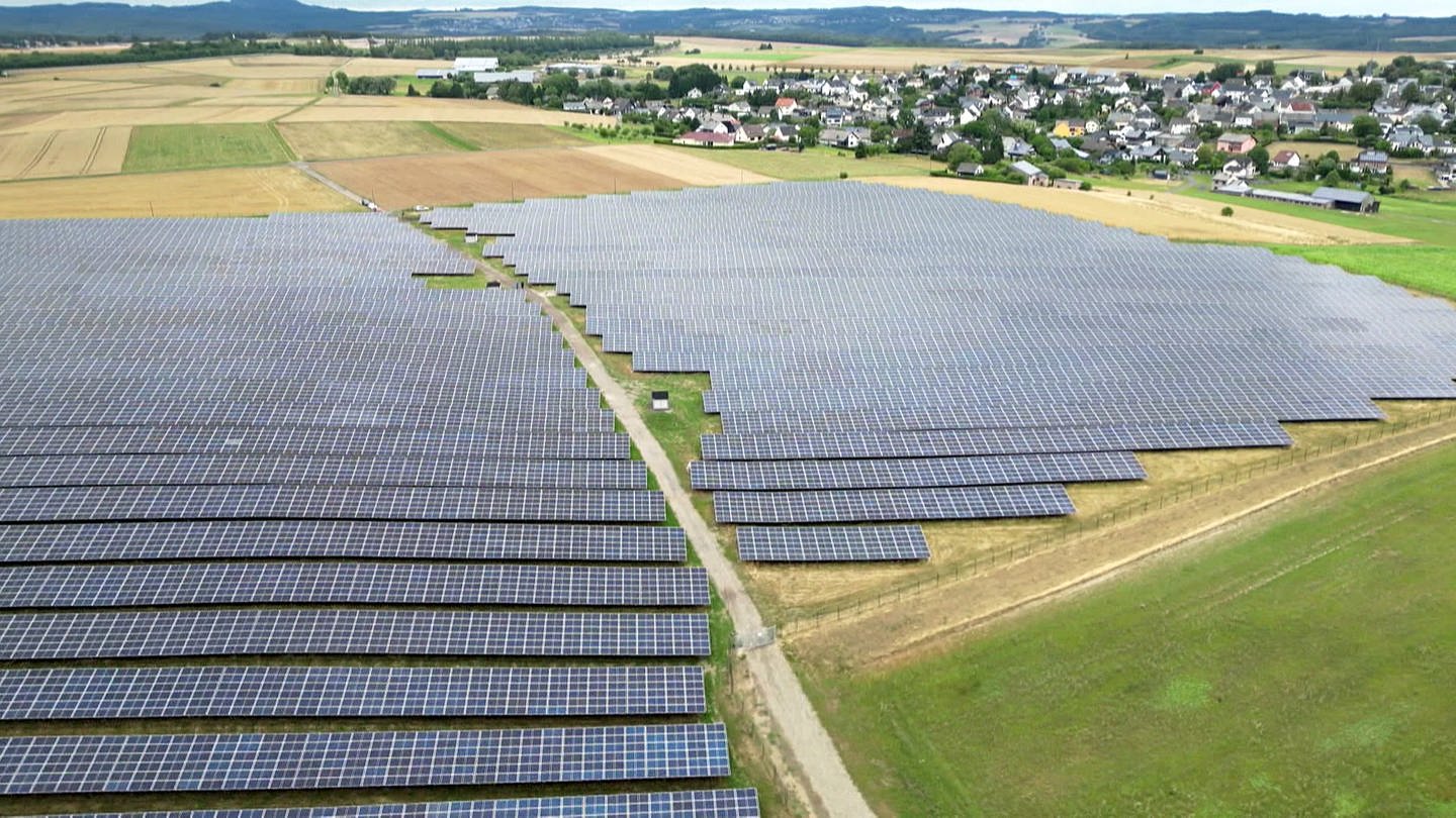 Solarpark Büchel (Foto: SWR)
