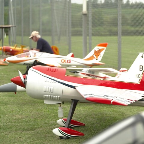 Modellflugzeuge in Alzey Offenheim (Foto: SWR)