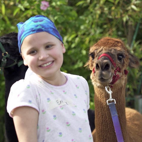 Krebskrankes Mädchen führt Alpaka (Foto: )