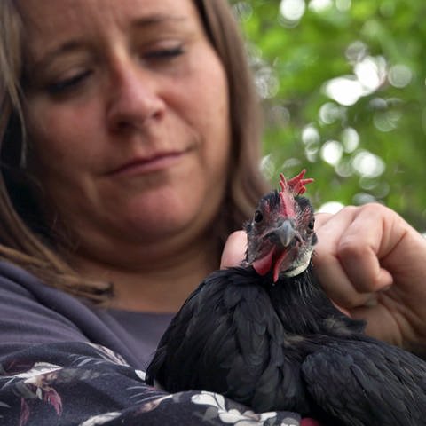 Huhn Luisa fühlt sich wohl auf dem Arm von Ellen Maria Ernst (Foto: SWR)