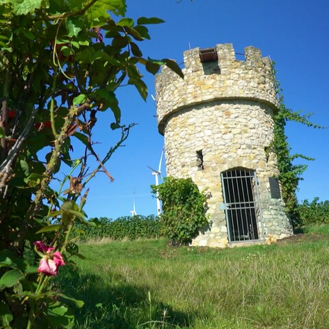 Ein Turm im Weinberg bei Flörsheim-Dalsheim. (Foto: SWR)