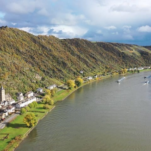 Hier, zwischen den Orten Wellmich und Fellen könnte die Mittelrheinbrücke entstehen. (Foto: SWR)