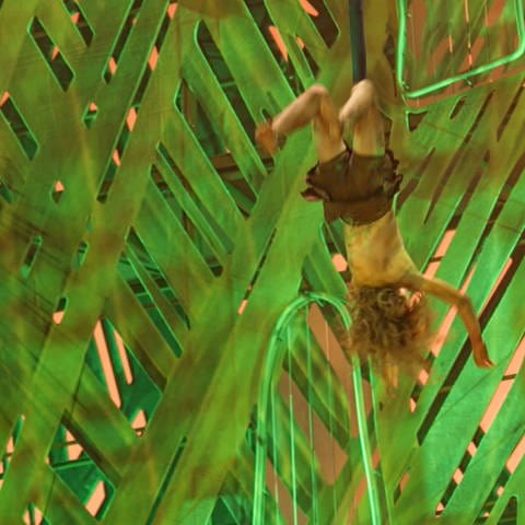 Junger Tarzandarsteller übt Akrobatik. (Foto: SWR)