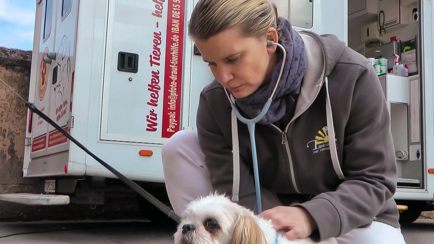 Mobile Tierarztpraxis für bedürftige Tierhalter (Foto: SWR)