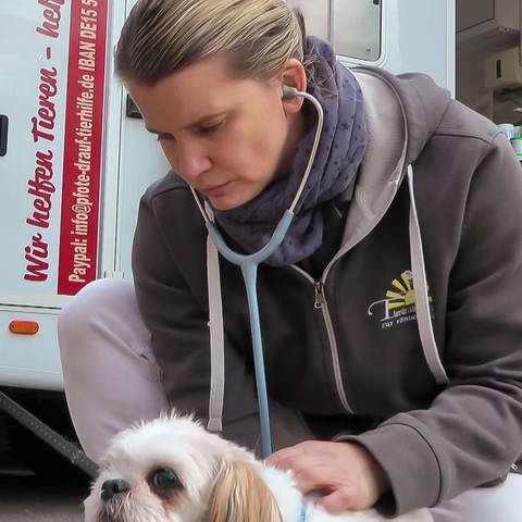 Mobile Tierarztpraxis für bedürftige Tierhalter (Foto: SWR)