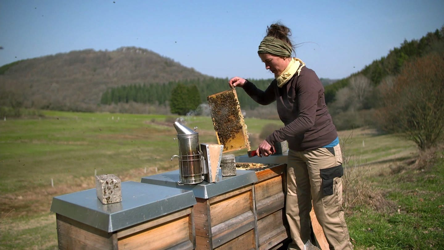 Ein Honigschlecken (Foto: SWR)