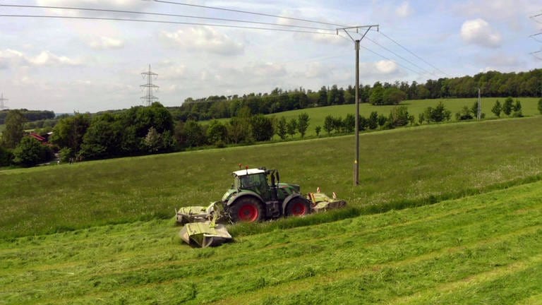 Traktor auf Wiese (Foto: SWR)