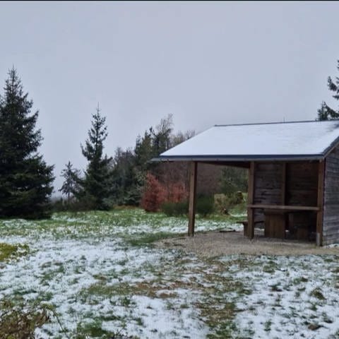 Schnee am Erbeskopf (Foto: SWR)