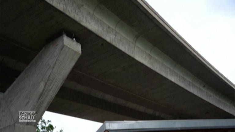 Die Mainzer Brücke ins Nichts