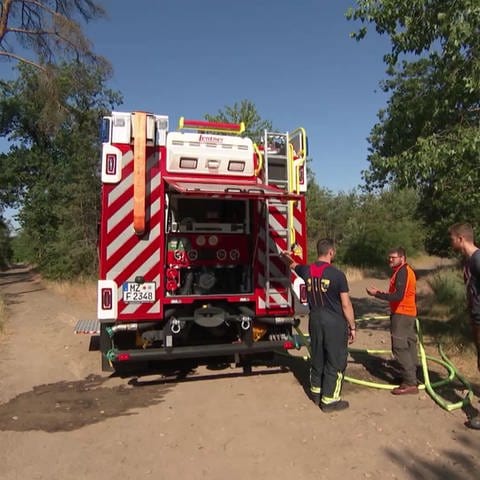 Feuerwehr im Einsatz gegen Waldbrand