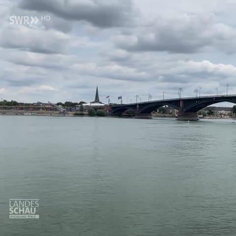 Blick vom Rheinufer - Theodor-Heuss-Brücke (Foto: SWR)