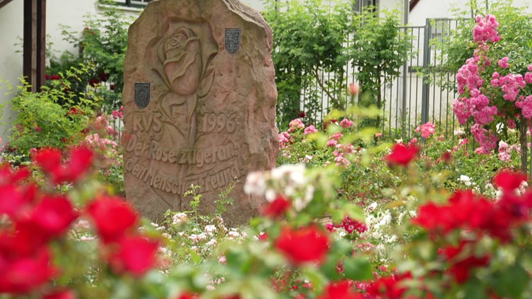 Eine Statue mit der Inschrift "Der Rose zugetan, den Menschen Freund". (Foto: SWR)