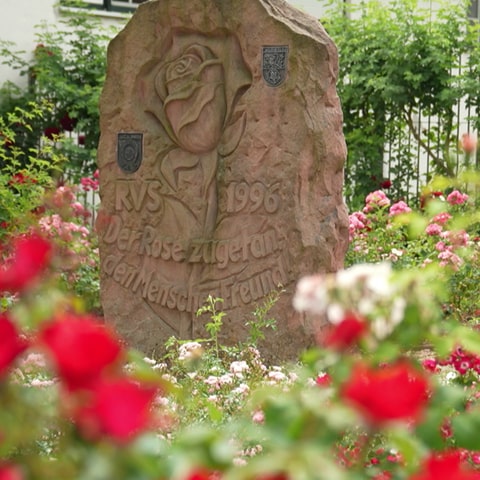 Eine Statue mit der Inschrift "Der Rose zugetan, den Menschen Freund".