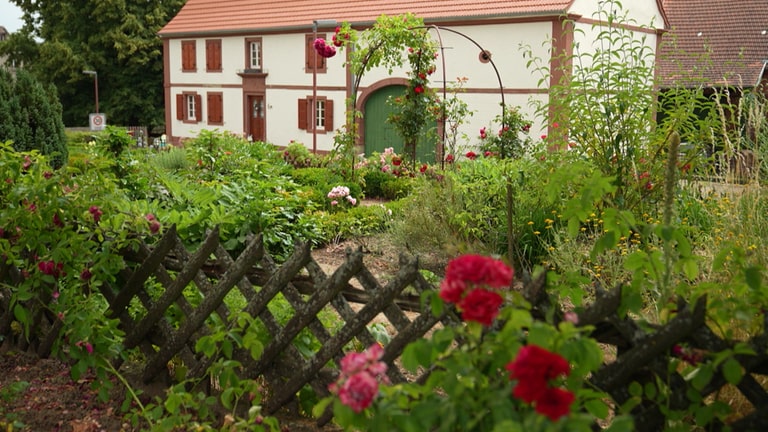 Ein blühender Garten vor einem Haus in Schmitshausen. (Foto: SWR)