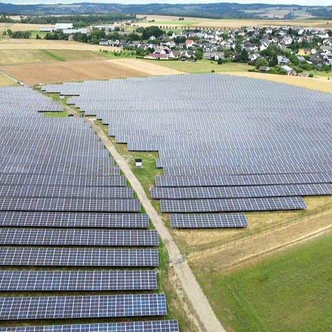 Solarpark Büchel (Foto: SWR)