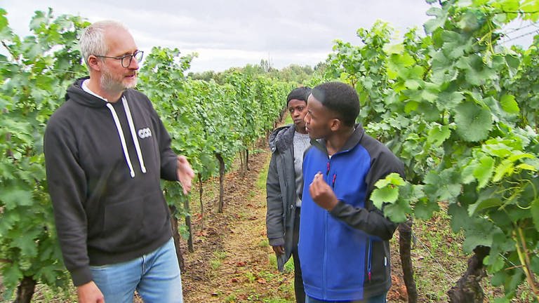 Studenten aus Ruanda gastieren am Weincampus in Neustadt