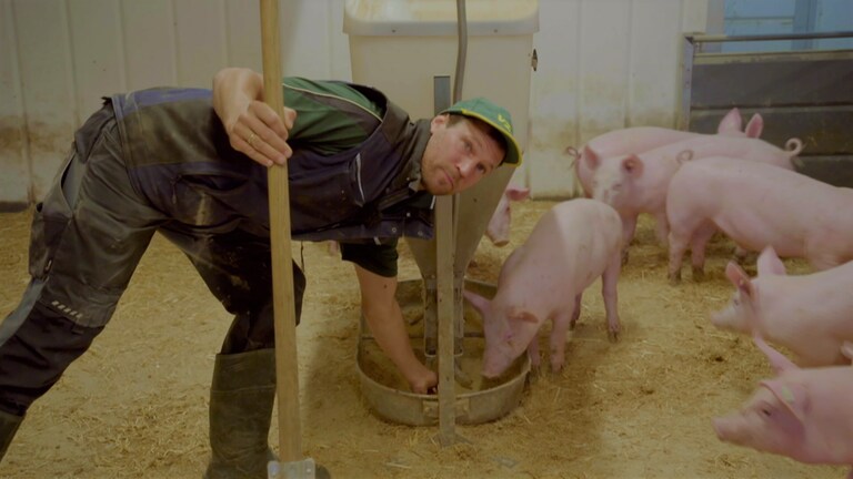 Johannes Baur vom Gut Baumgries in seinem Schweinemastbetrieb in Eglingen.