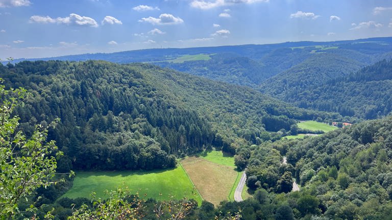Blick in ins Weite über die Eifelhöhen (Foto: SWR)