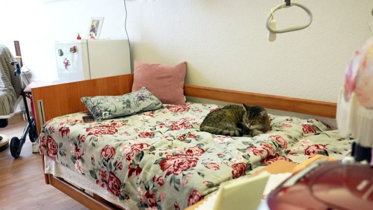 Katze auf Bett im Altenheim (Foto: SWR)