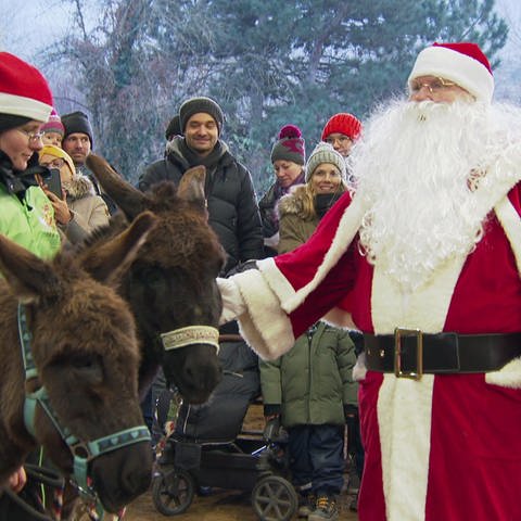 Auch der Nikolaus kommt mit seinen Notfall-Eseln Eddy und Freddy vorbei. (Foto: SWR)