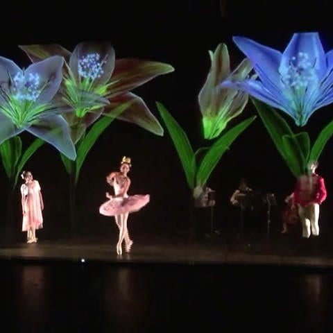 Ballet (Foto: SWR)