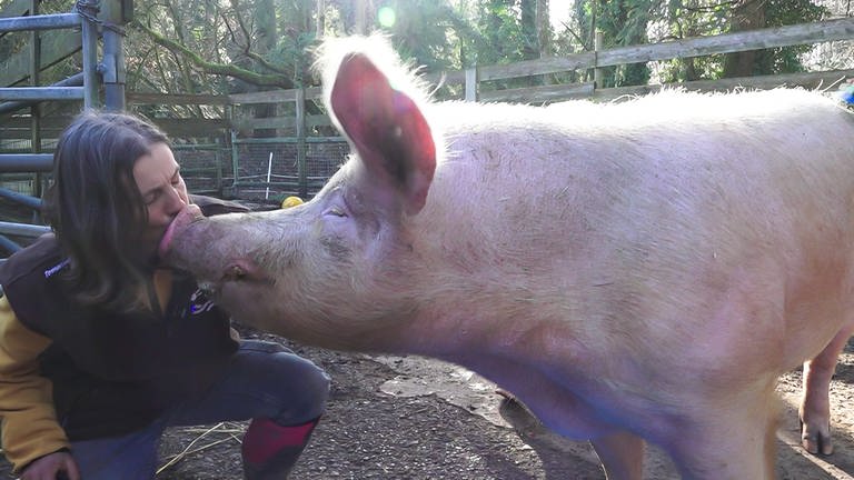 Carmen Weise gibt den Schweinen auch mal ein Küsschen.