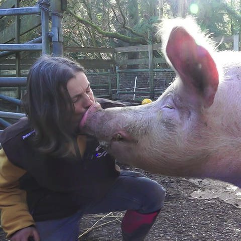 Carmen Weise gibt den Schweinen auch mal ein Küsschen. (Foto: SWR)