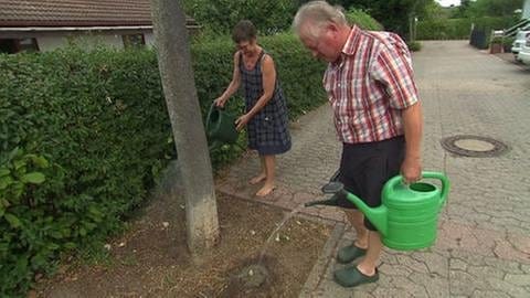 Eine Frau und ein Mann gießen einen Baum
