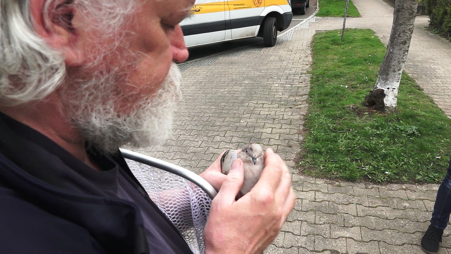Jürgen Völker hat ein Herz für alle Tiere in Not (Foto: SWR)