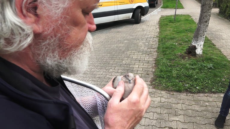 Jürgen Völker hat ein Herz für alle Tiere in Not