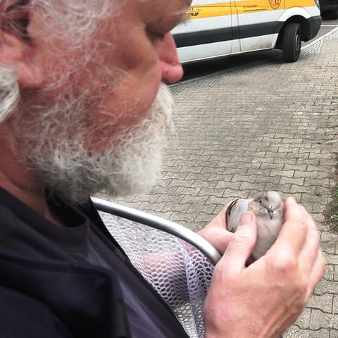 Jürgen Völker hat ein Herz für alle Tiere in Not (Foto: SWR)