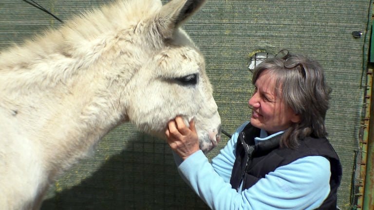 Birgit Lomnitzer grault einen ihrer Esel