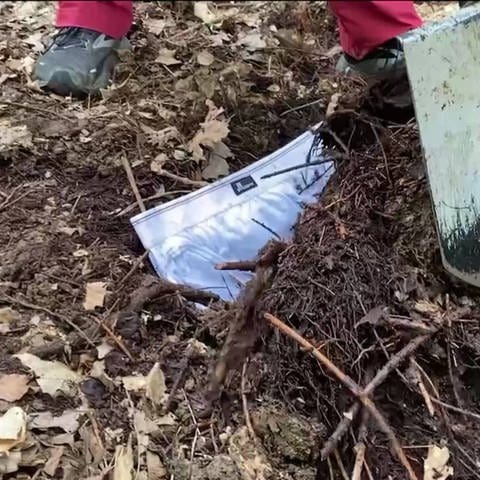 Unterhosen vergraben zum Testen der Bodenqualität