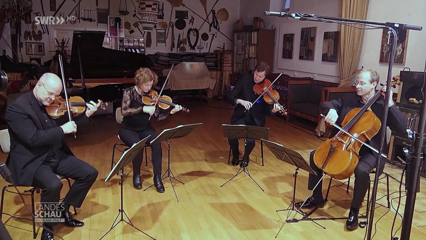 Die vier Musiker des Mandelring-Quartetts (Foto: SWR)
