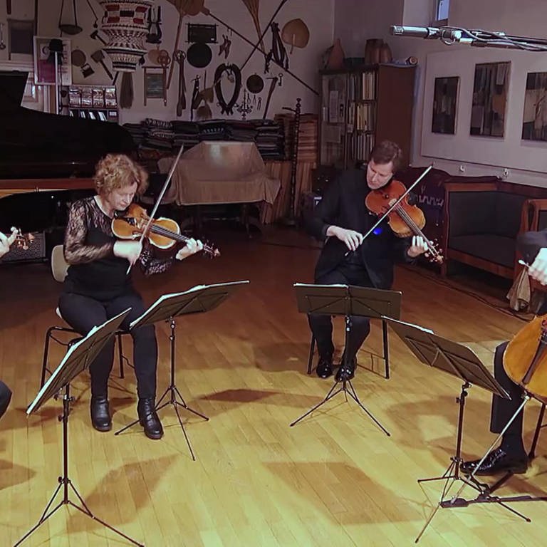 Die vier Musiker des Mandelring-Quartetts (Foto: SWR)